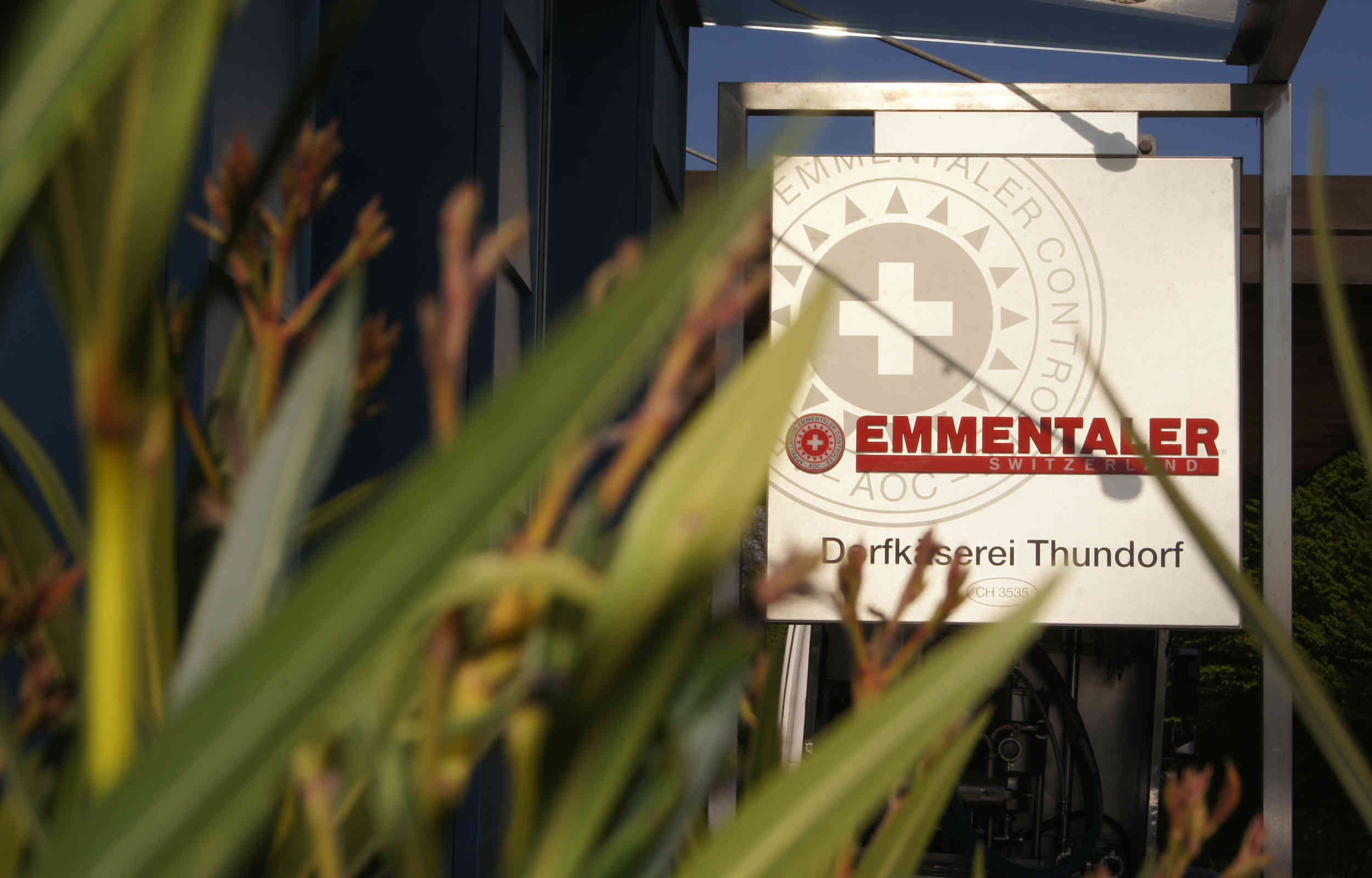 dorfkaeserei-thundorf1